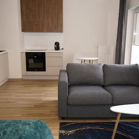 Glamorous And Modern Apartament